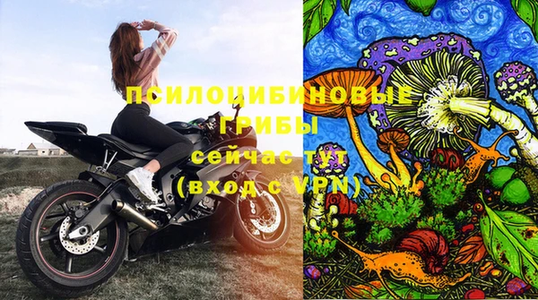 твердый Алексин