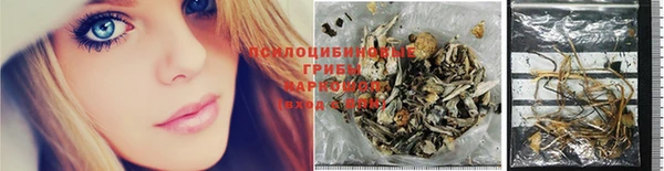 твердый Алексин