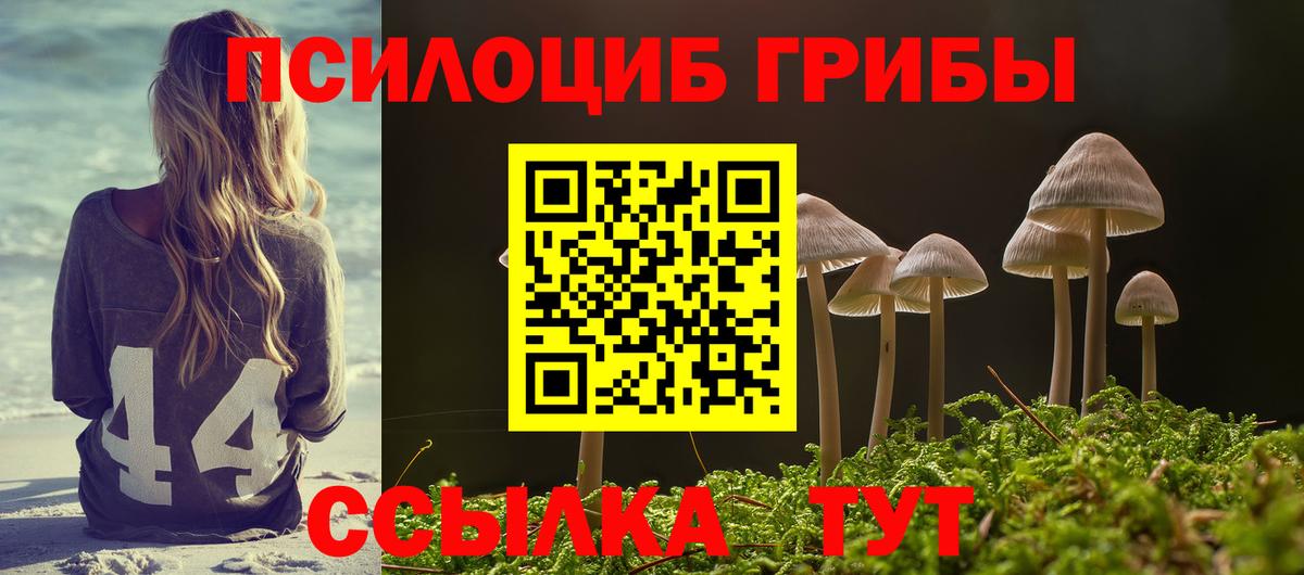 Псилоцибиновые грибы Magic Shrooms  Вход с VPN  Галлюциногенные грибы мицелий  Конаково 