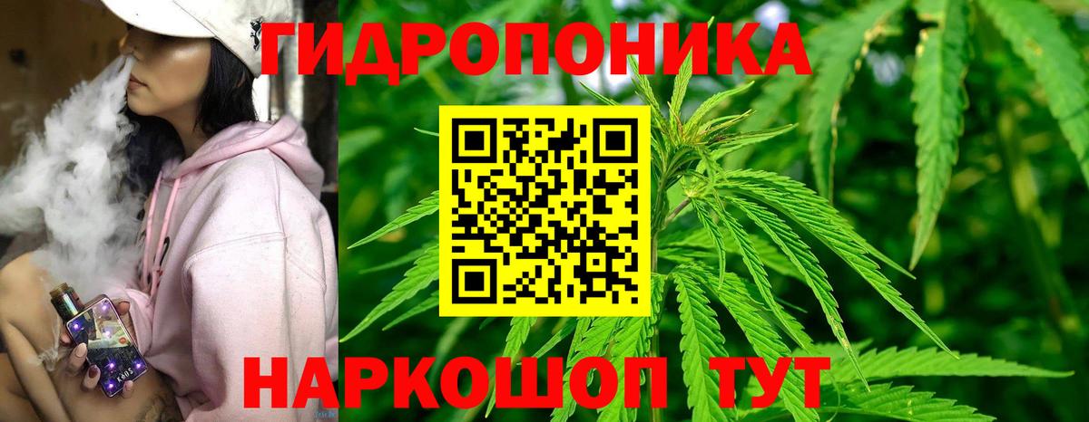 МАРИХУАНА Amnesia  Вход с VPN  Конаково  Марихуана White Widow  Каннабис MAZAR 